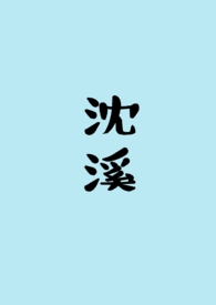 沈溪陆衍琛